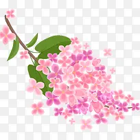 樱花-空若网 樱花-空若网