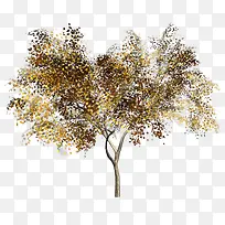 �ֻ���ľ-������