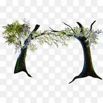 可爱花树-空若网 可爱花树-空若网