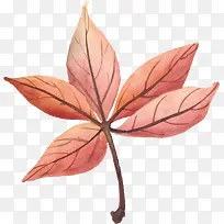 粉色秋天树叶-空若网 粉色秋天树叶-空若网