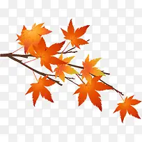 ������֦-������