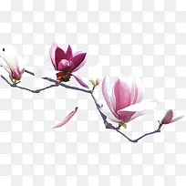 ����-������