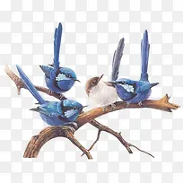 树枝上的小鸟-空若网 树枝上的小鸟-空若网