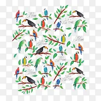 卡通鹦鹉小鸟-空若网 卡通鹦鹉小鸟-空若网