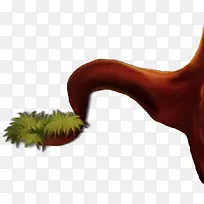 ��ͨ��֦-������