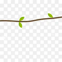 绿色叶子的树枝-空若网 绿色叶子的树枝-空若网