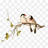 水彩小鸟-空若网 水彩小鸟-空若网