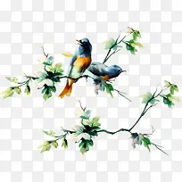 树枝上的小鸟-空若网 树枝上的小鸟-空若网