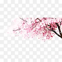 高清摄影手绘活动樱花-空若网 高清摄影手绘活动樱花-空若网