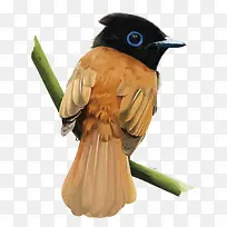 矢量树枝上的鸟-空若网 矢量树枝上的鸟-空若网