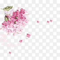 粉红色水彩花朵-空若网 粉红色水彩花朵-空若网