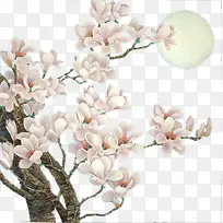 ӣ���ز�-������