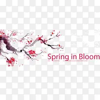 水彩樱花素材-空若网 水彩樱花素材-空若网