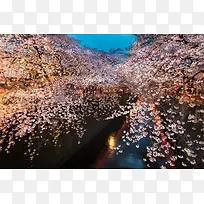 绚丽唯美河流樱花摄影图-空若网 绚丽唯美河流樱花摄影图-空若网