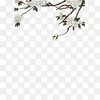 浪漫白色樱花-空若网 浪漫白色樱花-空若网