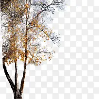 ��-������