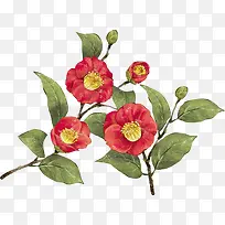 卡通手绘红花-空若网 卡通手绘红花-空若网