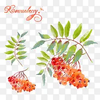 手绘水果樱桃-空若网 手绘水果樱桃-空若网