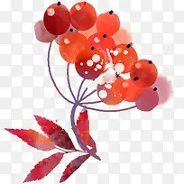 手绘水果果实-空若网 手绘水果果实-空若网