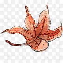 卡通可爱手绘枫叶-空若网 卡通可爱手绘枫叶-空若网