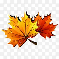 �ֻ���ɫ��ͨ��Ҷ-������