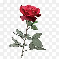 ʸÁ¿Ãµ¹å-¿ÕÈôÍø ʸÁ¿Ãµ¹å-¿ÕÈôÍø