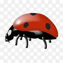 卡通手绘七星瓢虫-空若网 卡通手绘七星瓢虫-空若网