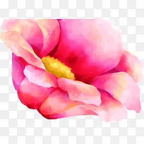 �ֻ�廭��ͨ��ɫ����-������