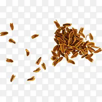 ʳ��װ��-������