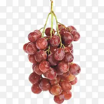 ��ͨ3d��Ӱ-������