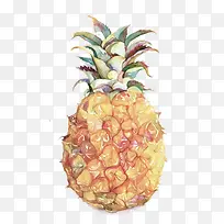 �ֻ沤��-������