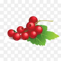 手绘樱桃-空若网 手绘樱桃-空若网