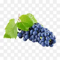 好吃的水果图案-空若网 好吃的水果图案-空若网