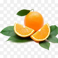 ʳ��-������