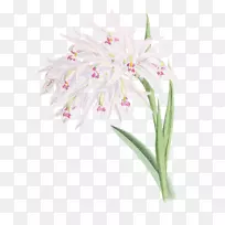 �л�������-������