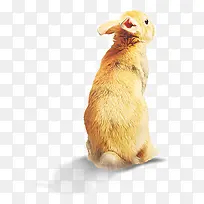 ����-������