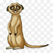 可爱小浣熊-空若网 可爱小浣熊-空若网