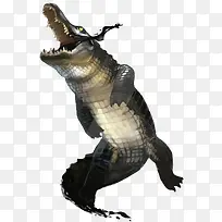 矢量鳄鱼-空若网 矢量鳄鱼-空若网