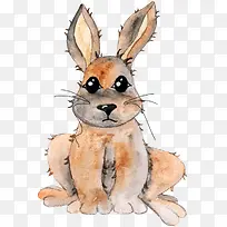 手绘兔子-空若网 手绘兔子-空若网