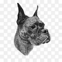 手绘插画动物-空若网 手绘插画动物-空若网