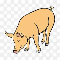 ��ͨ����-������