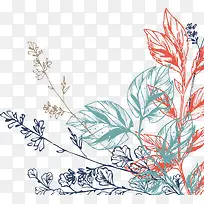 �������ֲ��-������