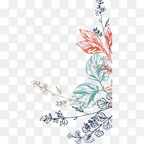 ¶à²ÊÏßÌõÖ²Îï-¿ÕÈôÍø ¶à²ÊÏßÌõÖ²Îï-¿ÕÈôÍø