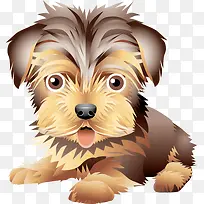 �ɰ�С��-������