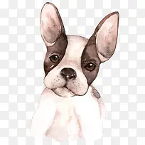 卡通可爱小动物装饰动物头像-空若网 卡通可爱小动物装饰动物头像-空若网