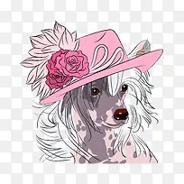 ��ͨ�ɰ�С����װ�ζ���ͷ��-������