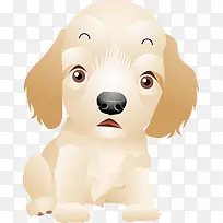 可爱小狗-空若网 可爱小狗-空若网