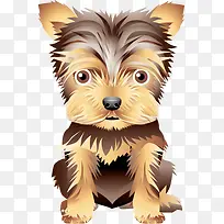 可爱小狗-空若网 可爱小狗-空若网