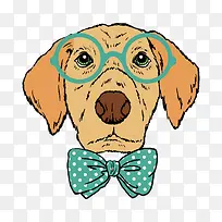 ��ٿ�ͨС������-������