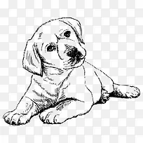 ʸ���ֻ湷��-������